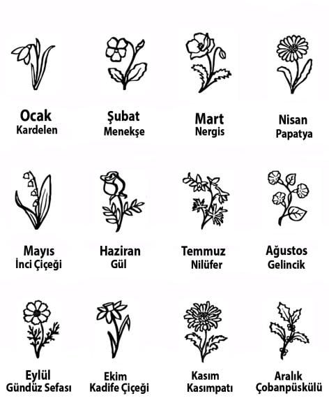 Doğum Çiçeği Detaylı İsimli Gümüş Kolye